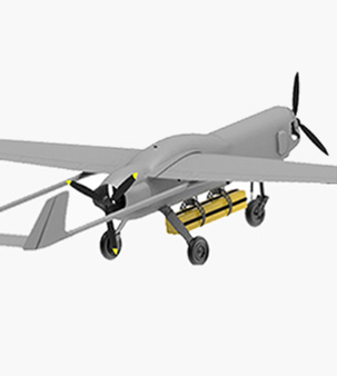 Modèle ISR tactique B-1C